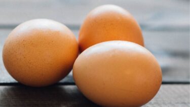 体にいい安心・安全の卵の選び方とは？【平飼い】【抗生物質不使用】【ワクチン不使用】